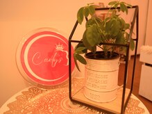 カーリーズ(Carly′s)/＊　店内　＊