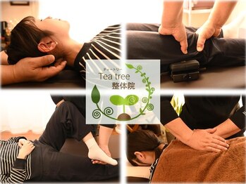 ティー トリー整体院