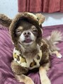 フレルト 伊勢店(FLELT)&nbsp;私の飼っているペットです♪名前はムックといいます。