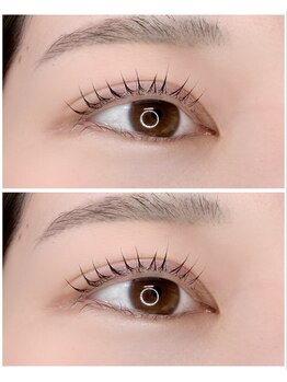 ミーム(ME-ME)/立ち上げカール