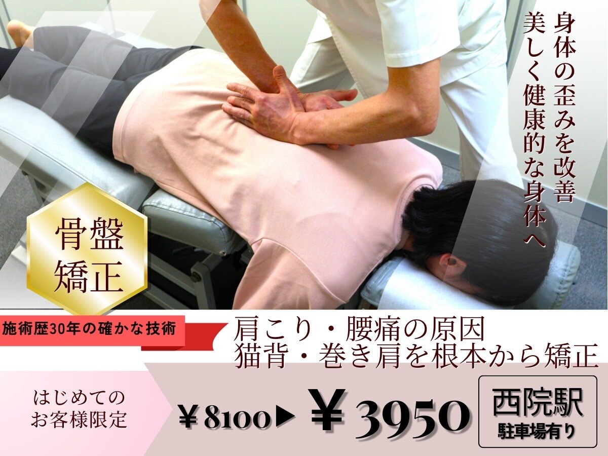 赤外線治療器　整骨院　整体院　カイロプラクティック 赤外線治療器 | トワテック