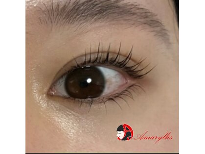アマリリス なんば本店(Amaryllis)の写真