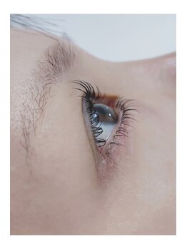 ネリネ(Nerine)/逆さ・下向きまつげに◎