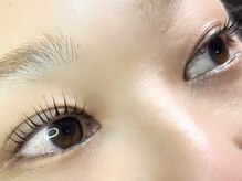 アモ アイラッシュ('amo eyelash)