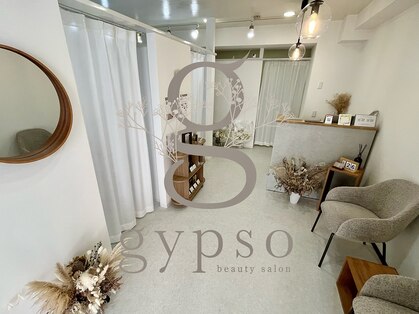 ジプソ(gypso)の写真