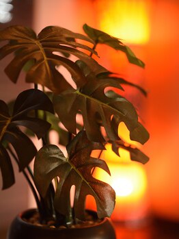 アルバローザ(ALBAROSA)/