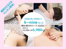 ケーナイン(K-nine)