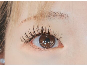 ルシアル 所沢(Luciall)/ダブルフラットラッシュ60束