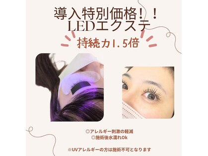 シェリル 国分寺(Cherilu)の写真