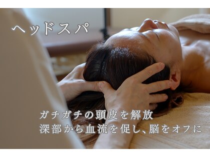 アクアの写真