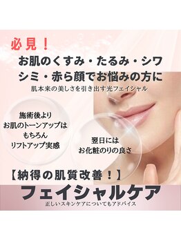 フルールスレーヌ(Fleur Sereine)/フェイシャルケア