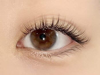 パキラ(Pachira)/シンプルでもアイライン効果◎