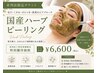 【系列店利用者限定特別クーポン】国産ハーブピーリング ¥6,600