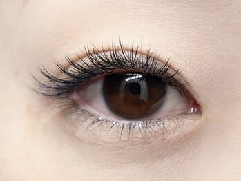 エメ 芦屋(esmee)/フラット太さ0.15ミリ、140本