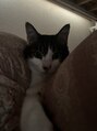 ディクト バイ デイシー(DICT by deicy)&nbsp;猫を飼っています♪