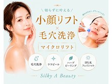 シルキーエービューティー(Silky A Beauty)