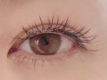 カラン 焼津店(CALIN)/フラットラッシュ120本