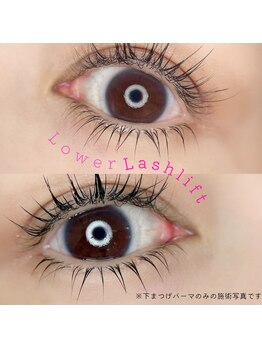 バニーアイズ 天神(Bunny eyes TENJIN)/下ラッシュリフト