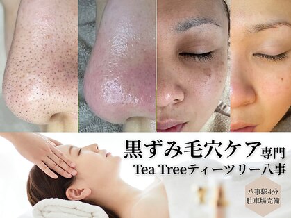 ティーツリー(Tea Tree)の写真