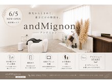 アンドミニョン(and Mignon)の雰囲気（1席ごとにゆとりを持たせた配置でゆったりとお過ごし頂けます。）