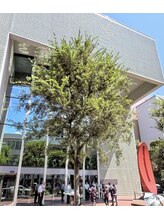 最終形美/様々なイベント