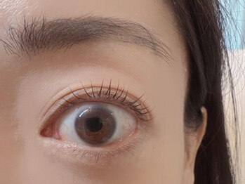 ノブレス 赤坂店(Noblesse)/メーテルロット