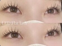 プラス サード(Plus 3rd)/LED flat lash