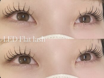 プラス サード(Plus 3rd)/LED flat lash