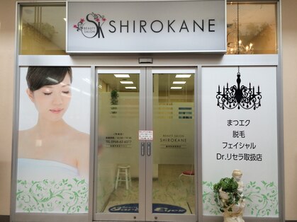 シロカネ 荒尾店(SHIROKANE)の写真