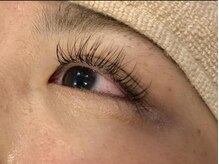 風見鶏/フラットラッシュ130本