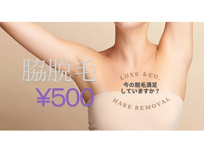 リュクスアンドコー 上田店(Luxe&co.)の写真