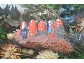 seasoncollection