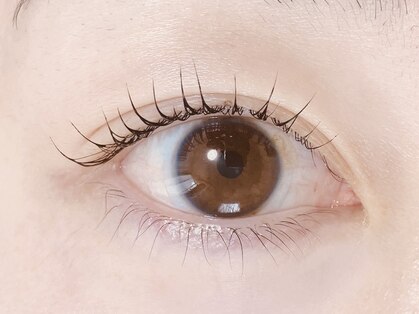 ルポ(RUPO)の写真