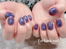 フォルトゥーナ 神田(Fortuna)/フラッシュマグネットネイル
