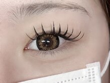 ルチア(Lucia)/バインドロック120束