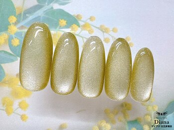 ディアナ 日立多賀店(DIANA)/H1-051 定額ネイル