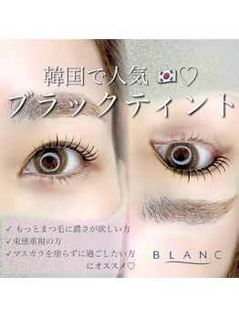 アイラッシュサロン ブラン ゆめタウン丸亀店(Eyelash Salon Blanc)/ティント×まつげパーマ