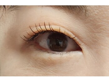 ジャポネスク(JAPONESQUE)/ブラウンとブラックMIX