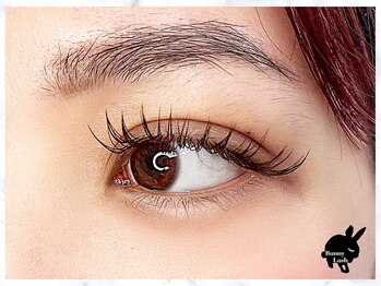 バニーラッシュ(Bunny Lash)/【フラットラッシュ】