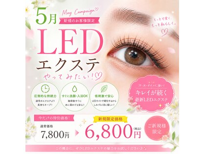 マーヴェラス(Marvelous)の写真