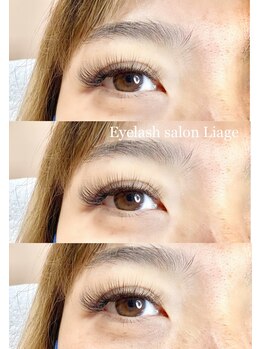 リアージュ(Liage)/4Dラッシュ140束