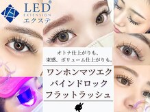 バニーラッシュ 津田沼店(Bunny Lash)