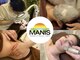 マニス(MANIS)の写真