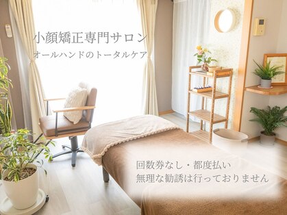 キッカ(kikka)の写真