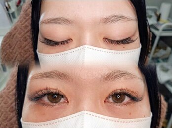 ドレス アイラッシュ(Dress eyelash)/フラットラッシュカラー