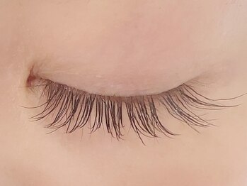 カラン 焼津店(CALIN)/フラットラッシュ120本