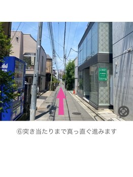 トネリコ(TONERICO)/【道順6】