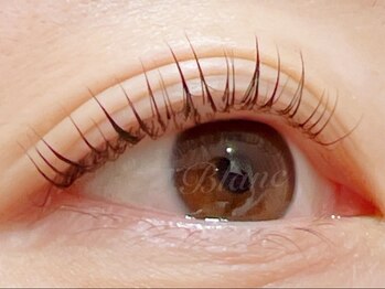 アイラッシュサロン ブラン イオンモール天童店(Blanc)/マツパ/次世代ラッシュリフト