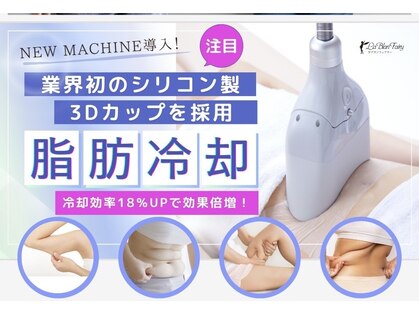 ラブランフェアリーの写真
