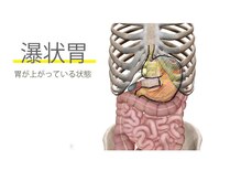 トータルバランス オーバー(over)/【腸もみ】胃もたれの原因は？